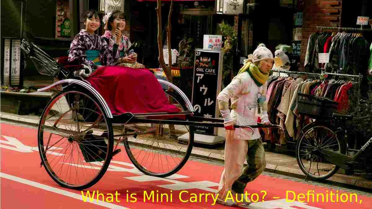 What is Mini Carry Auto? – Definition, Lists, Types, And More