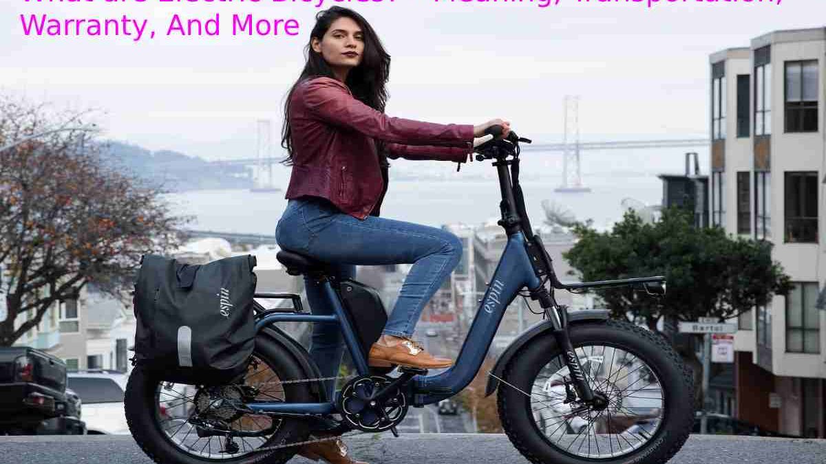 What are Electric Bicycles? – Meaning, Transportation, Warranty, And More