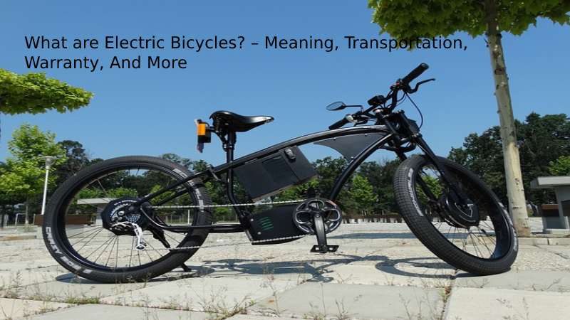  Electric Bicycles											