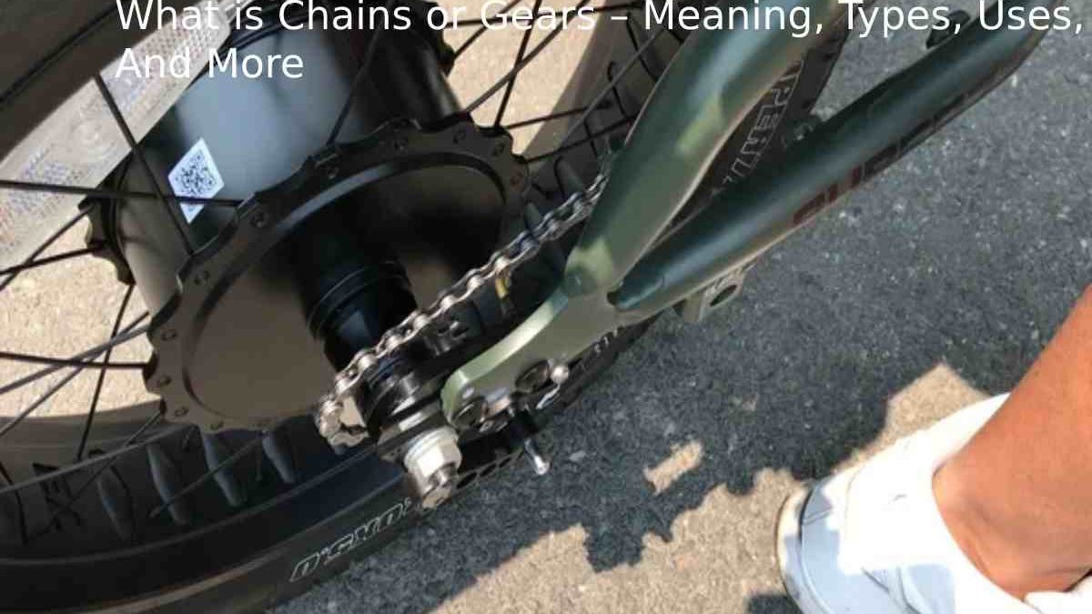 What is Chains or Gears – Meaning, Types, Uses, And More