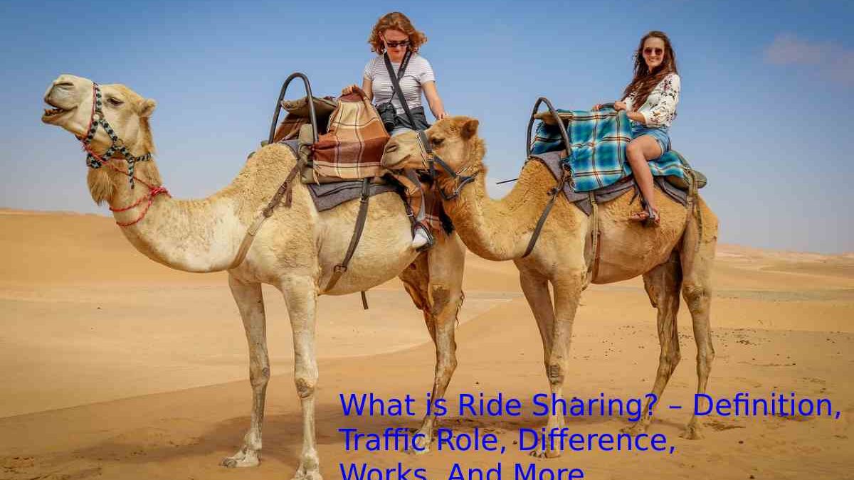 What is Ride Sharing? – Definition, Traffic Role, Difference, Works, And More