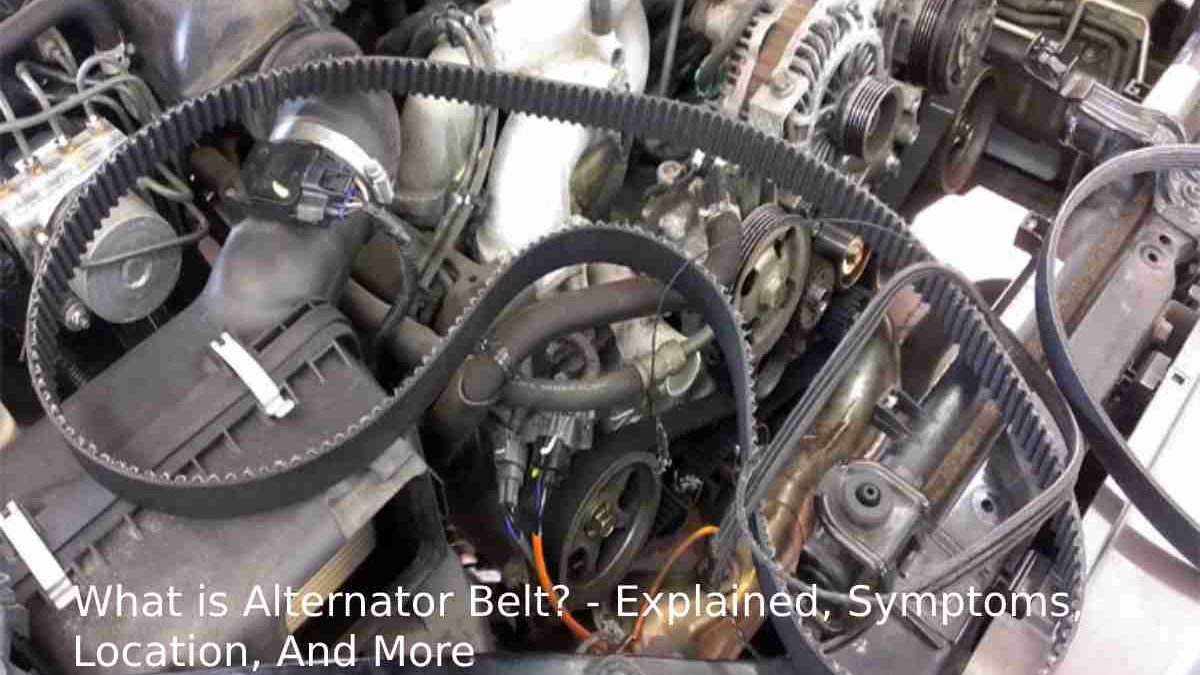 What is Alternator Belt? – Explained, Symptoms, Location, And More