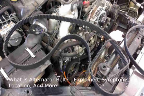 alternator belt