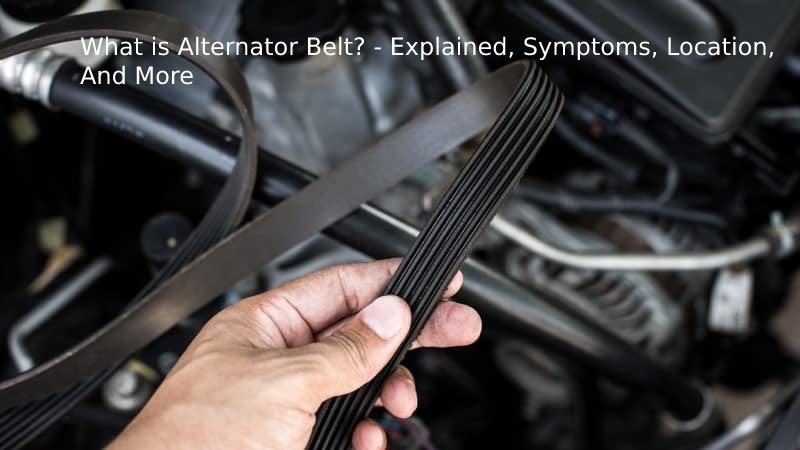 alternator belts