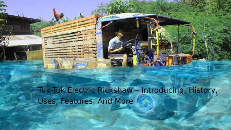 Tuk Tuk Electric Rickshaw	