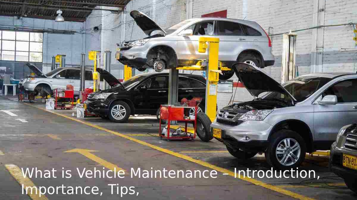 What is Vehicle Maintenance – Introduction, Importance, Tips, And More