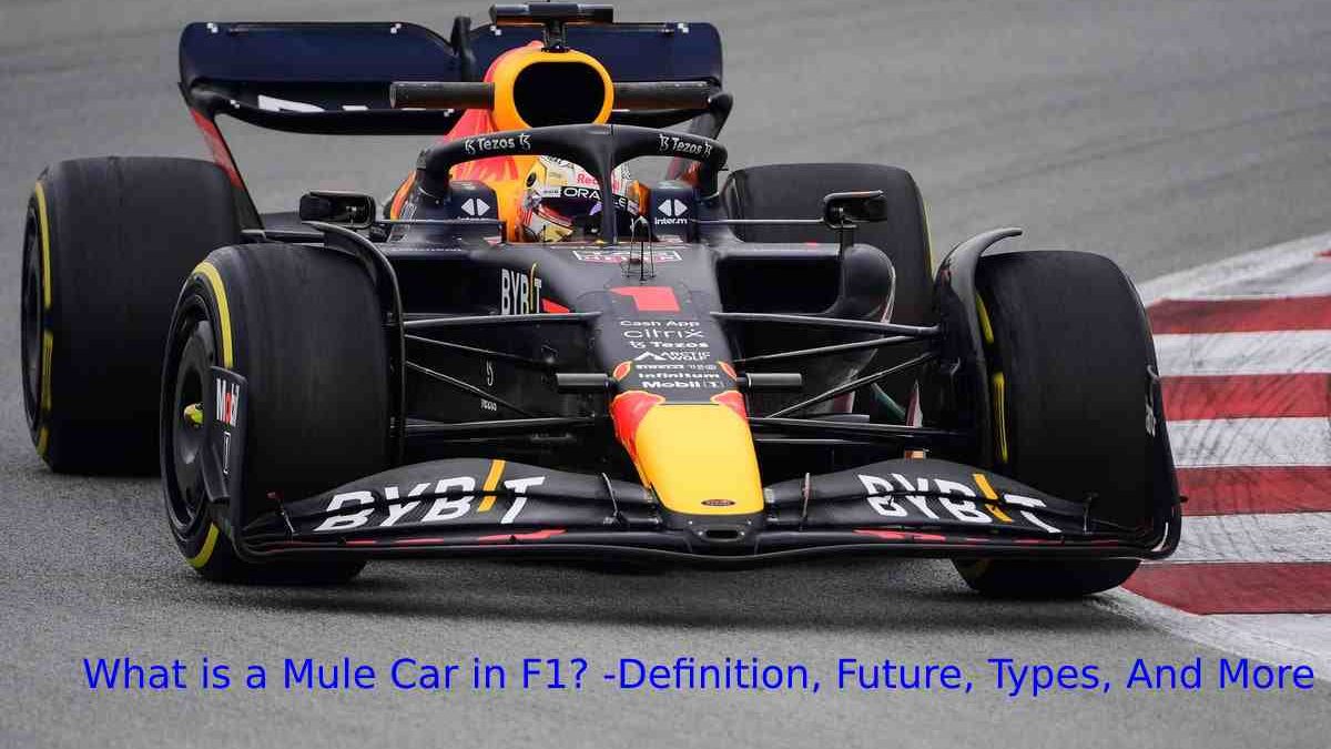 What is a Mule Car in F1? -Definition, Future, Types, And More