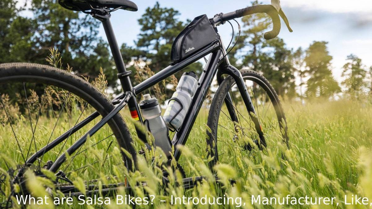 What are Salsa Bikes? – Introducing, Manufacturer, Like, And More