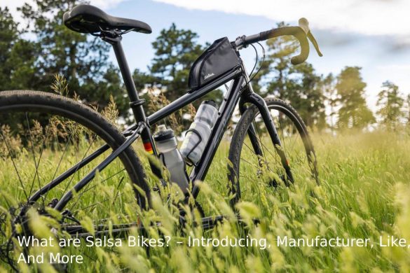 What are Salsa Bikes?