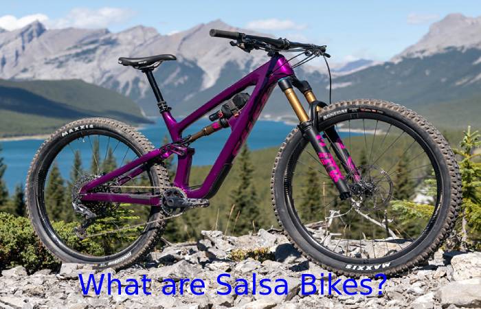 What are Salsa Bikes? 