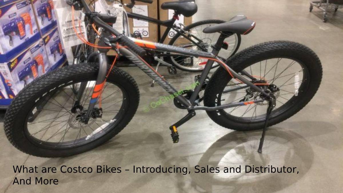 What are Costco Bikes – Introducing, Sales and Distributor, And More