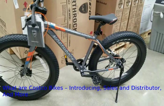 What are Costco Bikes 