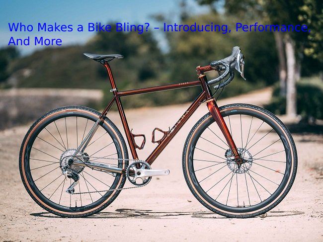 Who Makes a Bike Bling? – Introducing, Performance, And More