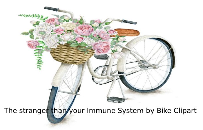 The stranger than your Immune System by Bike Clipart