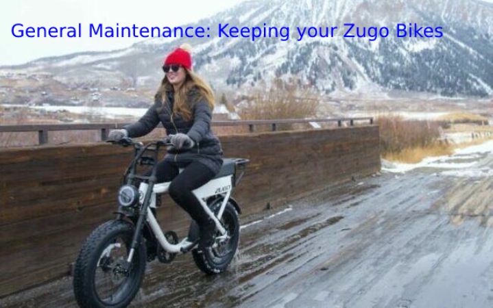 General Maintenance: Keeping your Zugo Bikes