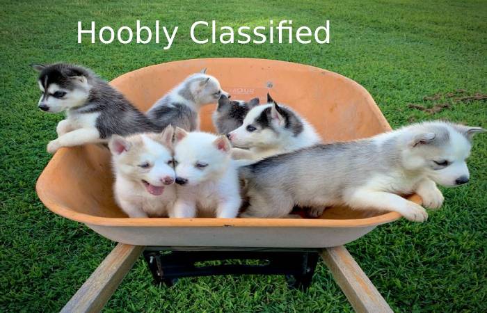 Hoobly Classified