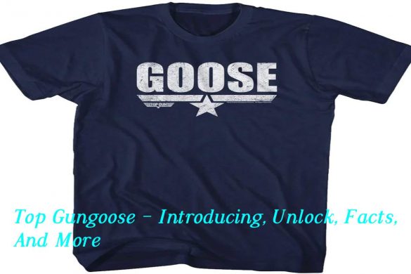 Top Gungoose