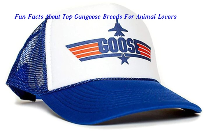 top gungoose