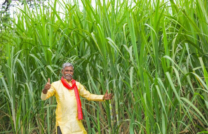 What Characteristics Does the PM Kisan Samman Nidhi Yojana Have?