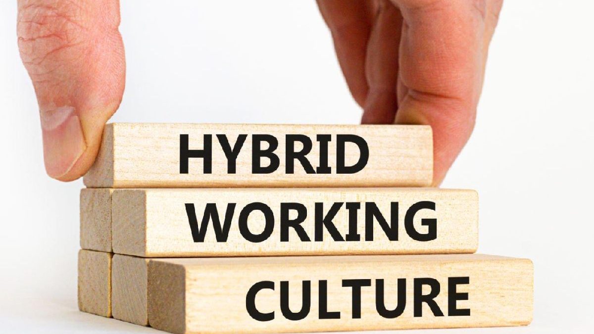 Hybrid Cultures – Know Everything In Depth!