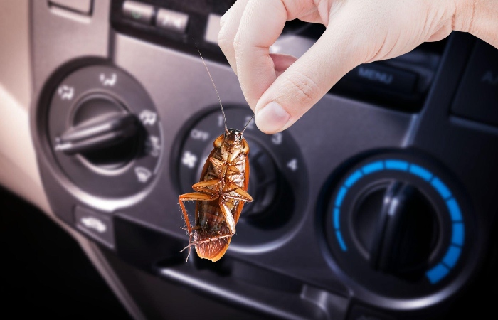 Consider the Strength of the Bug Remover For Cars