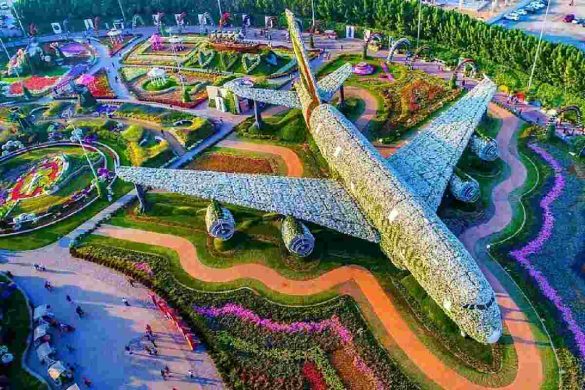 Dubai Miracle Garden Ticket Price and Timing Etc.