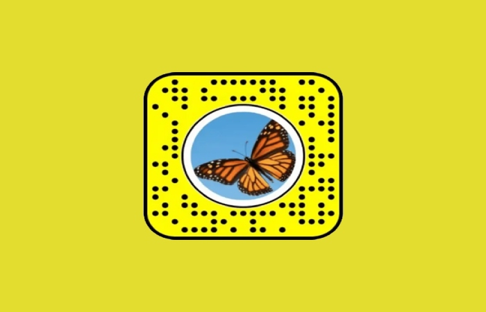 Scan the Butterflies Lens Snap Code