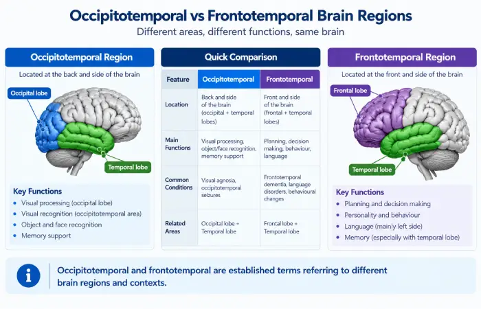 ficulititotemporal-guide
